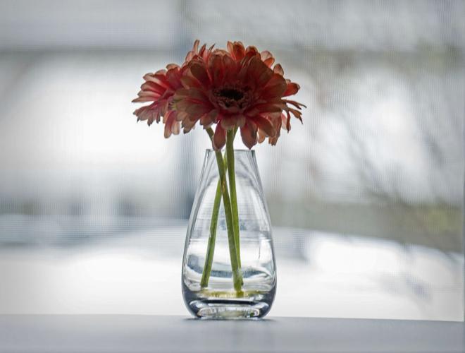 Through the Viewfinder