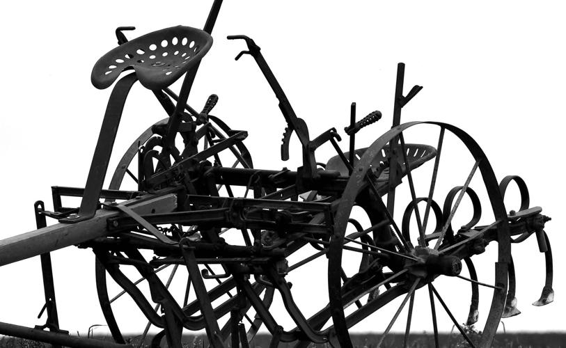 Viewfinder cultivator