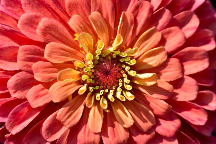 Brother Sun Microfarm 19.jpg