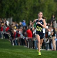 Manheim Township senior breaks through to win L-L League girls cross country title