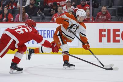 Ducks Red Wings Hockey